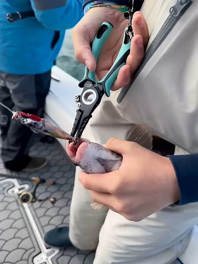 @fishmavericks 🎪 Pro Series moment | danco pliers