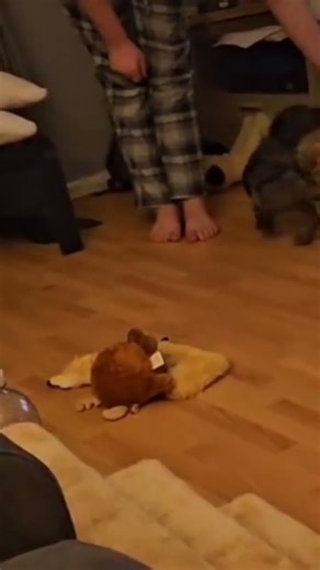 more tricks, sorry for not uploading in a while, I've been teaching duke