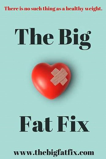 The Big Fat Fix - Movie