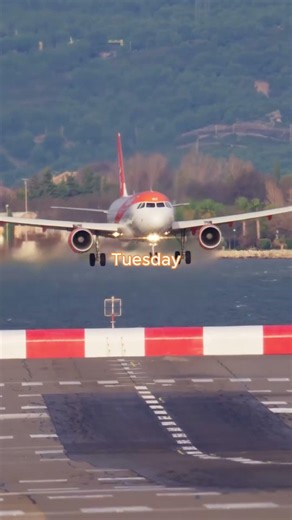 We have what can only be referred to as 'Airbus brain' 🧠✈️ #easyJet #Airbus #Aviation