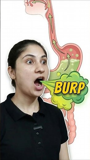 Why Do We Burp?