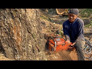 Best skills… Cut down 2 difficult trees easily‼️