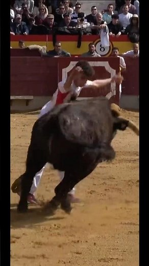 The Most Dangerous Bull Attack Ever Caught on Camera! 😱 | Brave Matador vs Angry Bull