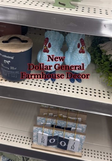 New Dollar General Farmhouse Decor