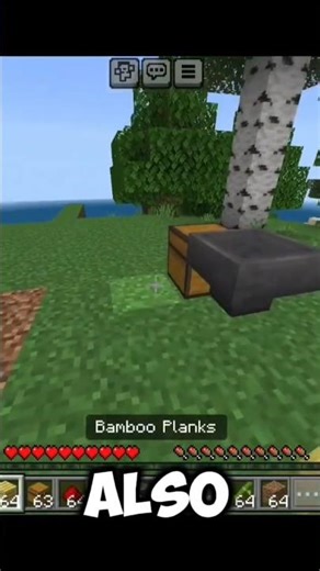 Automatic Bamboo Farm In Minecraft #minecraft #minecrafttutorial #askmrwizardhowitworks