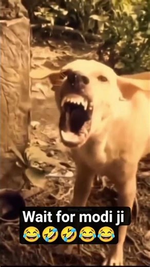 wait for modi ji esi hi funny video ke liye mujhe subscribe Karen#funny#youtube🤣😂😂🤣