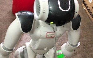 NAO机器人识别球并抓取丢到垃圾桶