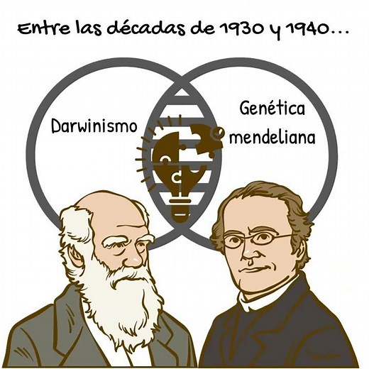 Neo-Darwinism IN 1 MINUTE #biology