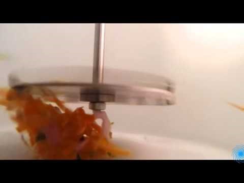 High Shear Dispersion Blade Mixing in Water | INDCO