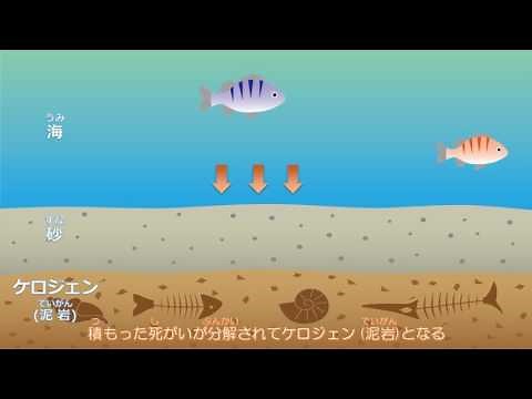 1 石油ができるまで