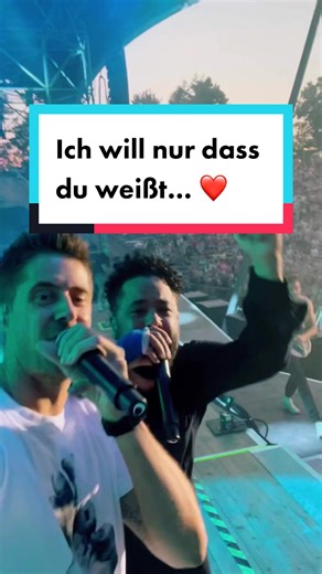 Ich will nur, dass du weißt – Der Remix