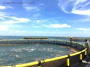 [Hot Item] High Quality Aquaculture Fish Farming Cages Feeder