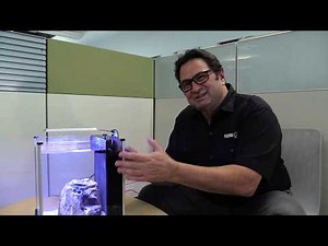 Understanding Water Levels in Integrated Aquarium Filters