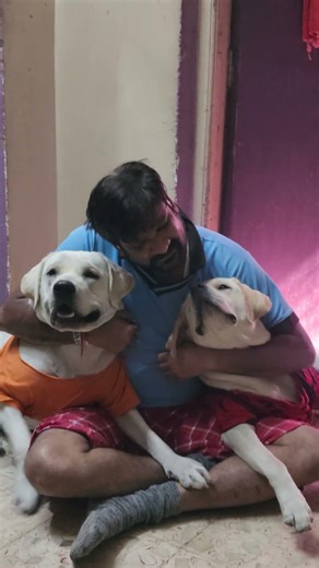 rembo rubi ❤️#dog