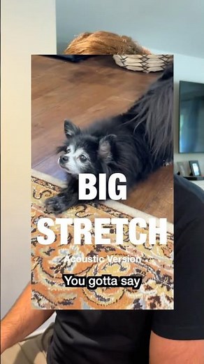 Big Stretch - Acoustic Version (Puppy Songs)