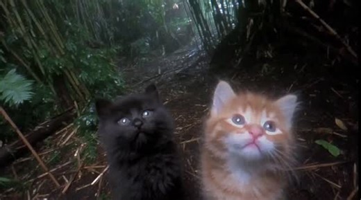 somnicore on Instagram: "cuddles $somni on pump"