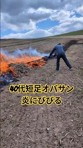 【北海道美瑛町水沢】アスパラの茎燃やしの作業風景#北海道 #農業 #美瑛 #ファーム生活 #farming #farmer #農家のおばさん#アスパラ#美瑛町#美瑛の丘
