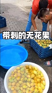 为什么这些水果要用大刷子猛搅？#带刺的无花果 #奇特水果 #仙人掌果 #科普一下 #土耳其街头美食 | 有史您说话