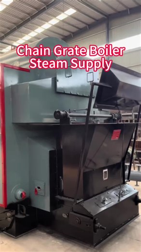Chain Grate Steam Boiler for Southeast Asian Factories