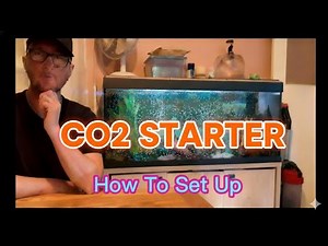 Dennerle CO2 Starter Kit. Everything you need to know on how to set it up.