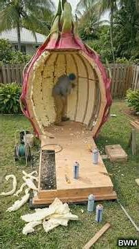 I Turned a GIANT DRAGON FRUIT Into a Secret Bedroom #youtubeshorts #timelapse #viralvideo