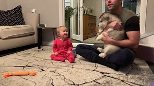 Baby meets new puppy for the first time! This is the cutest wholesome content you need right now! | Life with malamutes