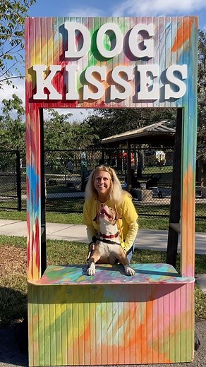 This morning we were at Woodstock 2024 in Sunrise. This is the city’s annual celebration of dogs and dog lovers. #browarddogs #browardanimalcare #shelterdogs #browardpets | Broward County Animal Care