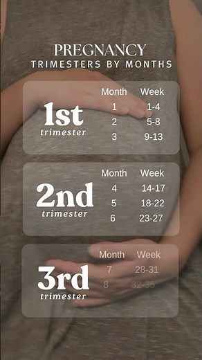 Trimesters of pregnancy weeks