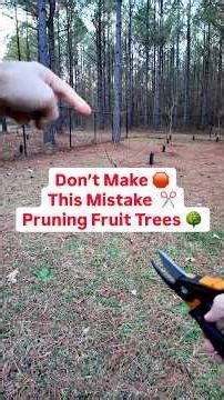 Don’t make this mistake pruning fruit trees #FruitTrees #Orchard #Pruning #GrowYourOwnFood #Fruit ￼