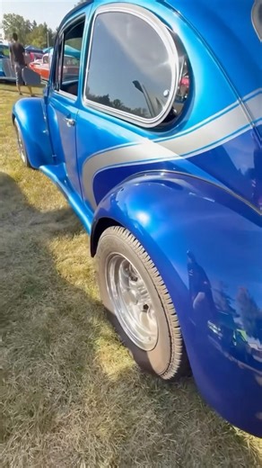 Bugs are Back✅ #classic #rock #automobile #viral #music #oldclassic #trending #1970s #blue #vw