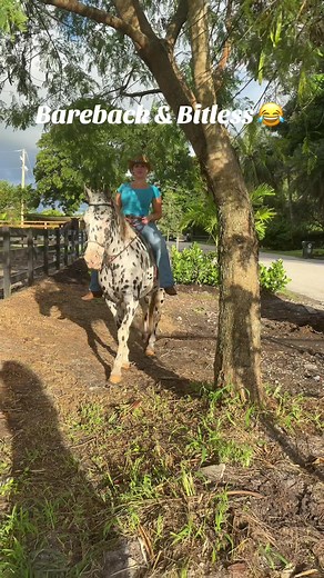 Becky Crocker: Podcast & Starbucks Fun 😂
