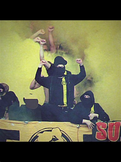 BVB Fans Unite: Celebrating Borussia Dortmund