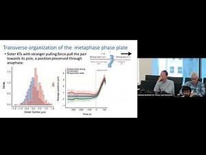 A kinetochore tracking perspective - the complex mechanics of human cell division | Nigel Burroughs