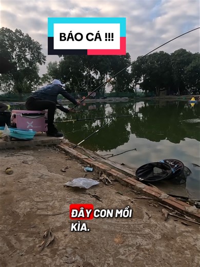 các bác đã báo cá gì chưa!!! #cakefishing #caucagiaitri