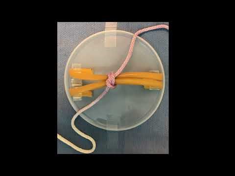 The CJVR January 2025: Video 2 - Knot #2: Modified Miller's