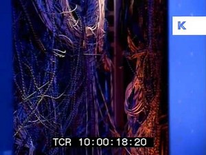 Late 1980s Early 1990s Computer, Circuits, Tech