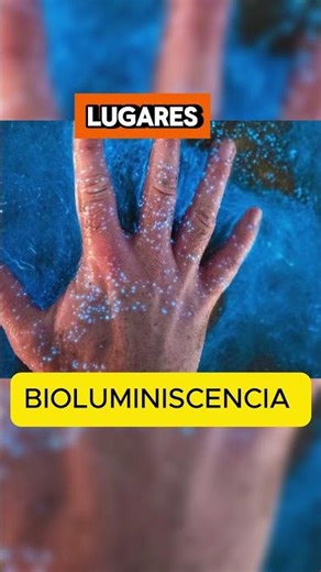 🔮 El Fenómeno Natural Más Mágico: Bioluminiscencia