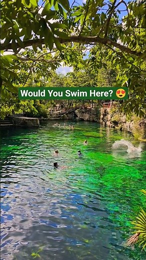 📍Casa Tortuga Cenotes, Tulum. Crystal clear water and underground caves #Tulum #Cenote #MexicoTravel