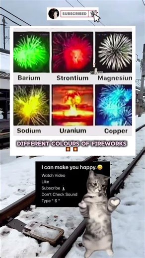 The explosion 💥 #meme #funny #cat