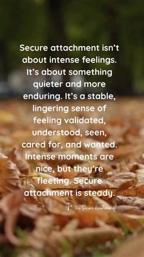 Secure attachment is calm, steady, and deeply fulfilling. It’s built through consistent moments of being seen, cared for, and understood. It’s less about sparks that burn bright and more about warmth that lasts. It is mature. ❤️ #secureattachment #attachmenttheory #emotionalsafety #securelove #emotionalconnection #healthyrelationships #attachmentstyles #relationshipadvice #secureattachmentstyle #relationshipgrowth | The Secure Relationship