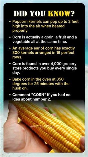 You Never Really Knew Corn At All
