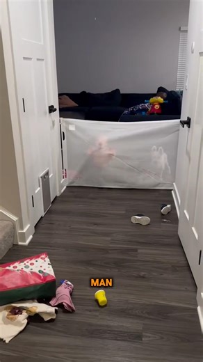 This Dad Found His Child Acting Strange — The Ending Is Shocking!😱#shorts