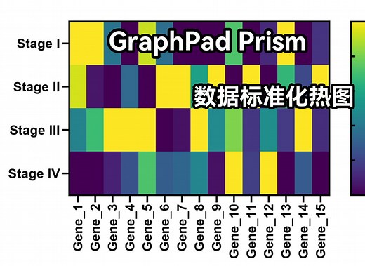 【Graphpad Prism】画数据标准化热图