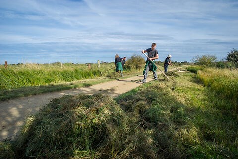 Volunteer | The Wildlife Trusts