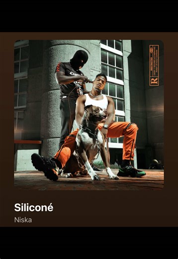 SALE TU NOUS CONNAIS TU SAIS QU’ON LES AIME BIEN BONNE SILICONÉ Siliconé - Niska #viral #music #rapfr #fyp #pourtoi