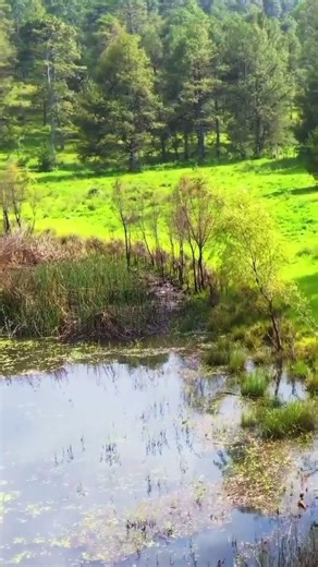 Bollywood #music with #natural view