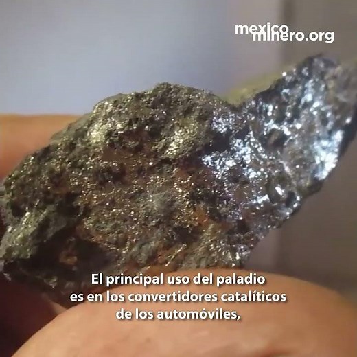El Paladio y sus usos
