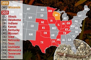 US invaded by 'crazy jumping worms' that cut themselves in two to evade capture