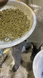 Pallet making machine | Punjab engineering Indore 8982325000 | Punjab Engineering Corporation