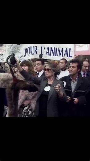 Brigitte Bardot : star et militante pour les animaux (2026)